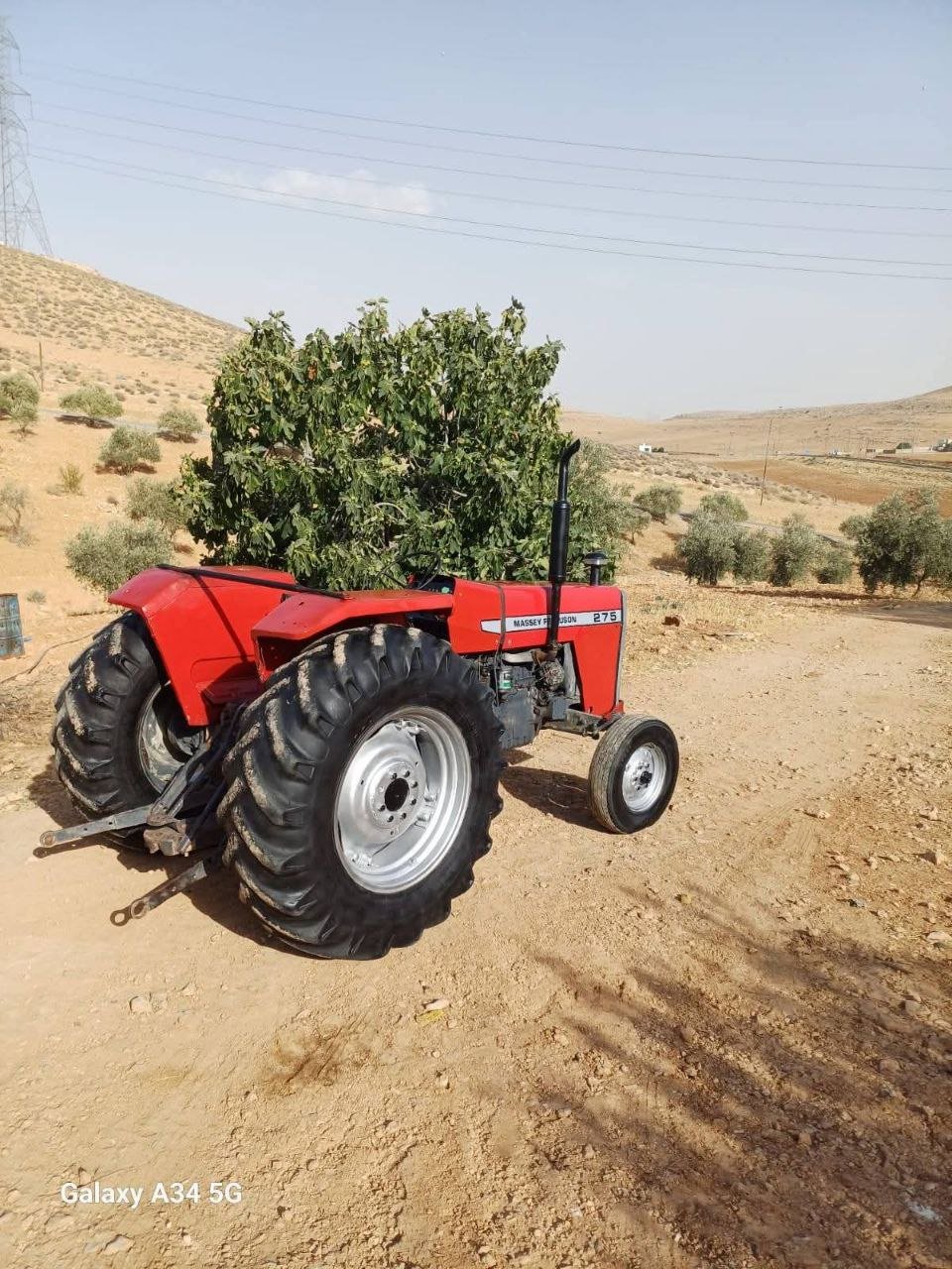Massey Tractor 275 Original English Full Inspection, Available in Alexandria, Best Market for Selling Agricultural Tractors